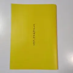 映画「どうすればよかったか？」パンフレット