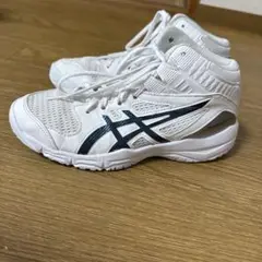 Item thumbnail for item 7b8bb545-0ff2-4bb9-ab17-6a0a9cdc3840