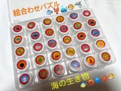 知育玩具　絵合わせ　ペットボトルキャップ　絵合わせパズル　ハンドメイド