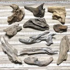 Item thumbnail for item 927cb569-13f0-408d-9a8e-c2cf15e4165e