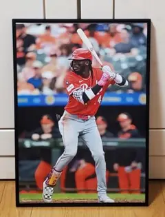 レッズ エリーデラクルーズ MLB！A3サイズポスターフレーム付き①