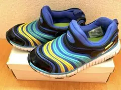 NIKE ダイナモフリー 22cm