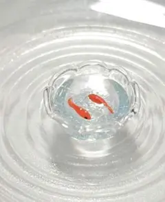 金魚鉢　3