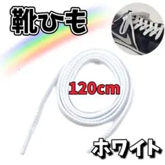Item thumbnail for item 3d4c40aa-669d-4809-b052-2d21b0214857