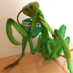 カマキリ BIG 昆虫 フィギュア オオカマキリ MEGA 大きい グリーン