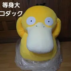2025年最新】コダック ぬいぐるみ 等身大の人気アイテム - メルカリ
