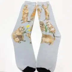 【オリジナル】プレーリードッグ　オールスターズ　ソックス靴下