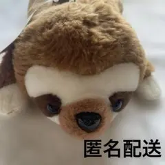 どうぶつペンケース《ナマケモノ》プライズ商品