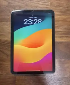 iPad mini 6 256GB