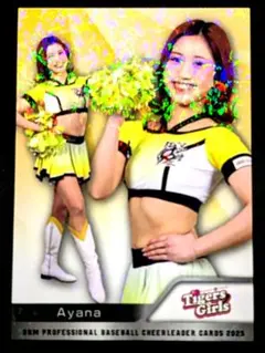 Item thumbnail for item 93e8a4fd-d0b4-4ca1-9dd1-d90663a872b8