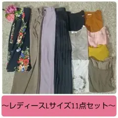 レディース服 Lサイズ(M~Lサイズ) まとめ売り 11点セット