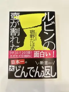 ルビンの壺が割れた　宿野 かほる 著