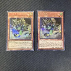 遊戯王カード　若い忍者　レッドシークレット、シークレット　セット