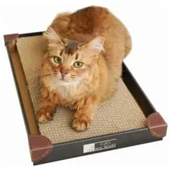 Item thumbnail for item f716691e-c13c-4d86-a3e2-fb0490ea5d7d