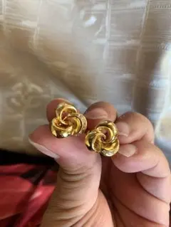 今日だけ激安!綺麗な、イヤリング