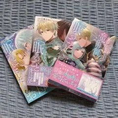 人生に疲れた最強魔術師は諦めて眠ることにした　1〜3巻