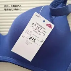MiraiBeauty もちっとフィット ノンワイヤーブラ A75 コイアオ