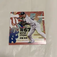 ヤクルト　伊藤　ステッカー