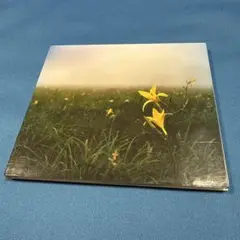 MARVELOUS NOTES