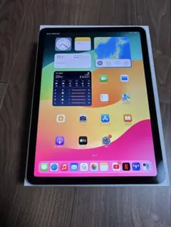 iPad Air 第4世代10.9インチ 256GB　【美品】