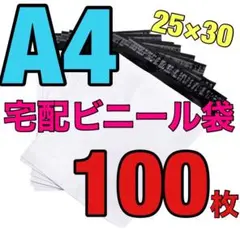 Item thumbnail for item 2441755d-d427-4e0b-b81f-3222752f8424