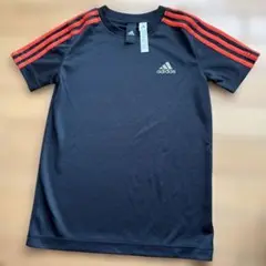 Item thumbnail for item d890a993-0725-49d6-8cf4-d0a0ff1fa478