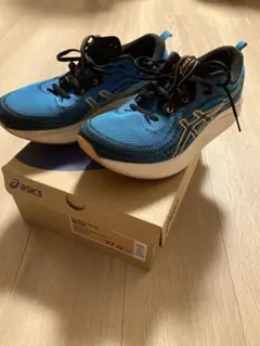 asicsランニングシューズ EvoRide SPEED メンズ 27.0cm