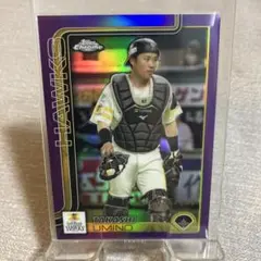 Item thumbnail for item b8afe07d-eb48-471e-b16b-7a9d381cdc69