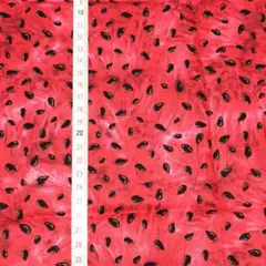 シーチング スイカ 約110cm×50cm