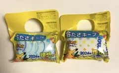 ポケモン　ペットボトルカバー　2種セット