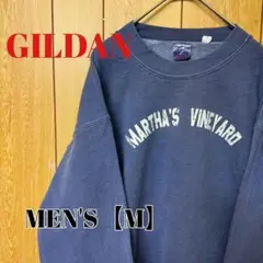 TR29【US輸入】GILDAN(ギルダン)　スウェット【メンズМ】ブルー気味系