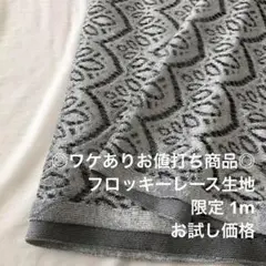 2FL/5420◆1m ワケあり/限定/ポリレーヨン混フロッキーレース生地