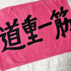 道重さゆみ 道重一筋 バスツアー ブランケット