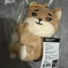 KE ヨンケイ DAY6 プチマルズ デニマルズ