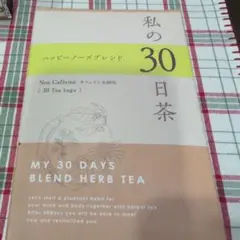 Item thumbnail for item cf171695-3a91-4f89-bd4c-0f917735045f