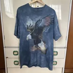 THE MOUNTAIN 古着 Tシャツ アメリカ　鷲