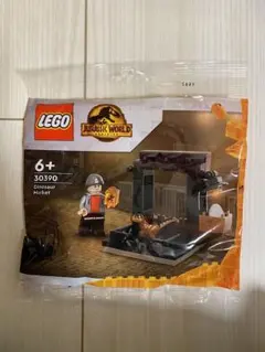 LEGO レゴ ジュラシックワールド　30390