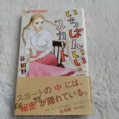 いちばんいいスカート