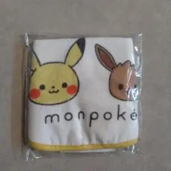 ❴新品未開封❵monpoke ピカチュウ イーブイ スタイ