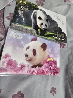 アドベンチャーワールド　桃浜　マスクケース