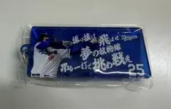 中日ドラゴンズ 石川昂弥 応援歌キーホルダー