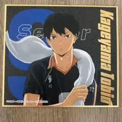 ハイキュー!!影山飛雄 色紙