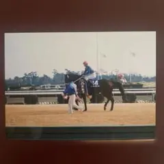 競馬。スーパークリーク生写真。有馬記念パンフレット
