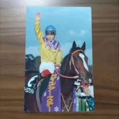 藤田伸二さん元騎手 ローリエアンドレ ウインターS 競馬 サイズ13×20