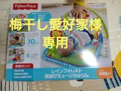 フィッシャープライス レインフォレスト指遊びミュージカルジム CHP85土日発送