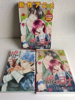 【未開封】暁のヨナ 22 オリジナルアニメDVD付限定版 新品同様 暁のヨナ 21+22 オリジナルアニメDVD付限定版 セット