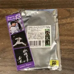 【新品】阪神タイガース シークレットプレイバックキーホルダー 岩崎優選手