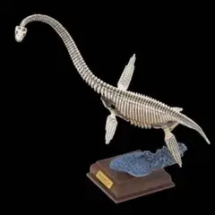 【未開封】ネイチャーテクニカラー古生物　フタバスズキリュウ　骨格標本色