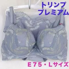 トリンプ プレミアム サイドを寄せてデコルテふっくら TR3060 E75・L