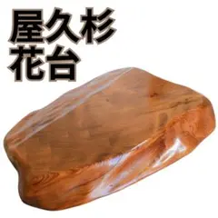 Item thumbnail for item f234a7b4-a047-45c2-9046-c63a86a89e15